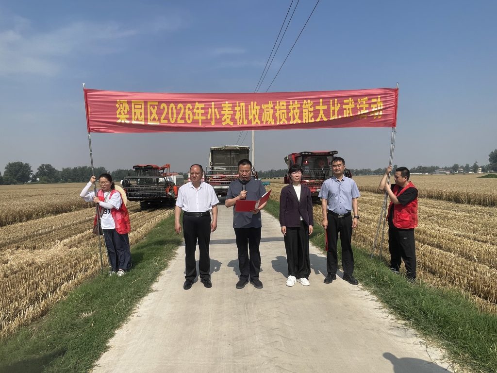 商丘市梁园区：麦收正当时 减损保丰收