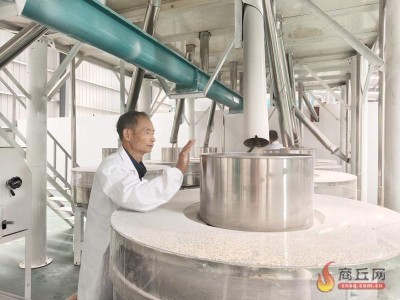 从播种到归仓：商丘小麦丰收季全景记录