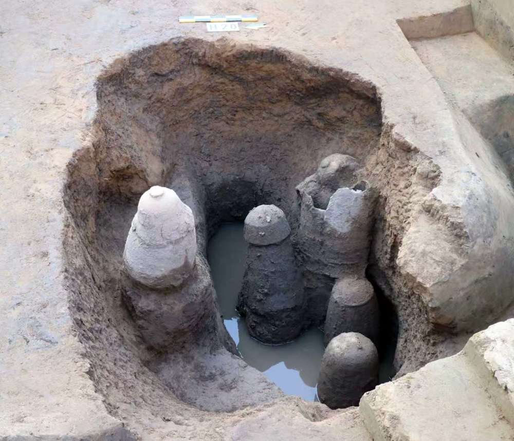 这是郑州商城张硗街片区发现的商代陶缸祭祀坑。（受访单位供图）