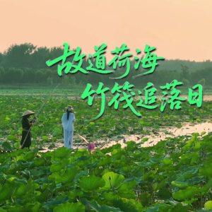 商丘黄河故道万亩荷花灼灼盛放 竹筏莲海邂逅落日铺霞
