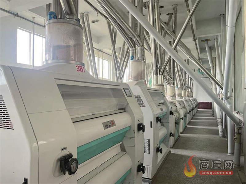 【永城】富硒小麦每斤多卖两毛钱，三顺面粉订单模式让好麦卖上好价