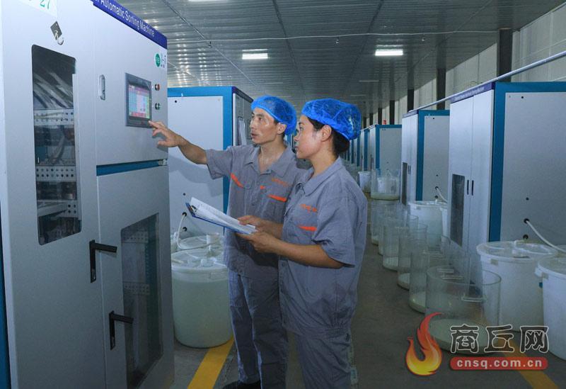柘城施诺德年产金刚石微粉5亿克拉 专精特新企业深耕高端赛道