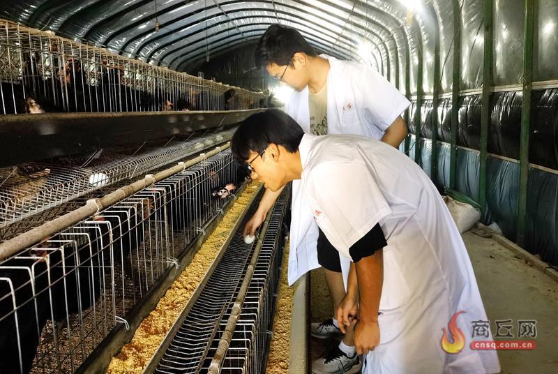 大学生驻场破解养殖技术难题 民权“科技小院”催生富硒“福满蛋”