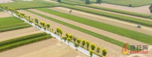 商丘1115万亩秋作物基本收官 20万台农机护航933万亩麦播