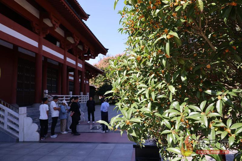 不必远行寻秋 商丘这份“家门口”赏景地图请收好